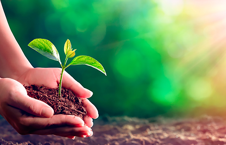 304am��������(�й�)���޹�˾-Official Website